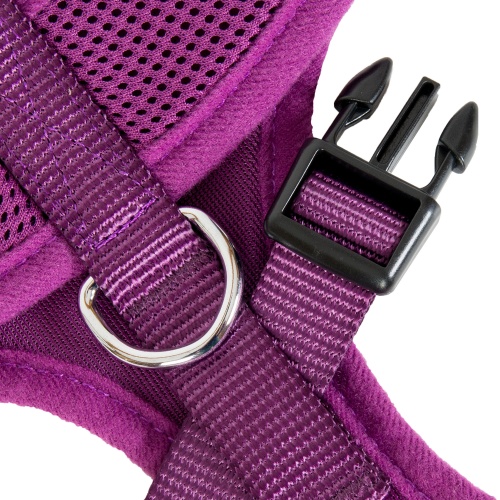 Purple Mesh Dog Harness